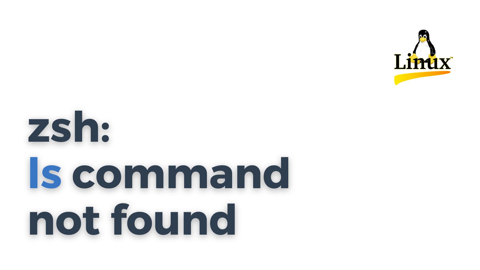 ZSH: command not found: ls